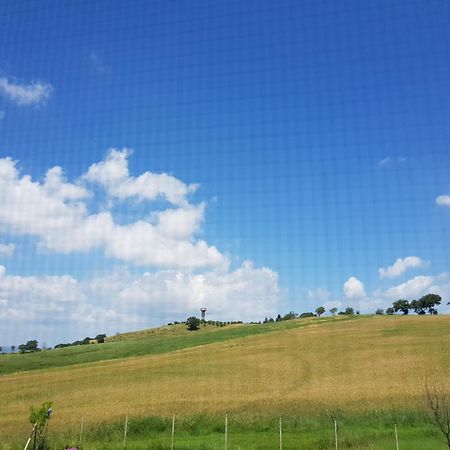 Agriturismo Bio Le 4 Stagioni Porrona Экстерьер фото