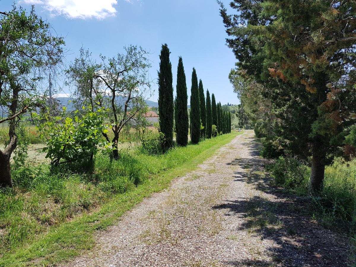 Agriturismo Bio Le 4 Stagioni Porrona Экстерьер фото